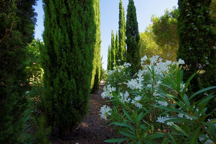 Garten entworfen von Maria Sagreras in der Finca Es Turó - Mallorca - Viveros Pou Nou