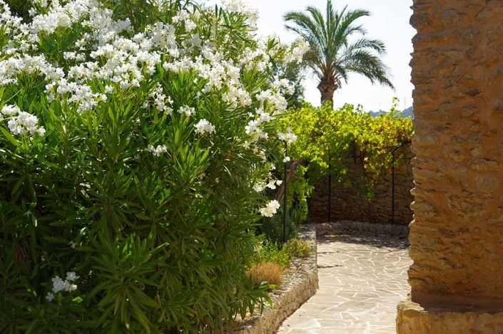 Garten entworfen von Maria Sagreras in der Finca Es Turó - Mallorca - Viveros Pou Nou