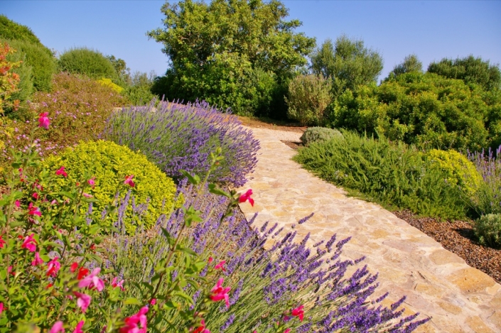 Landscaping project by Garden Center Viveros Pou Nou in Finca Consolació - Mallorca
