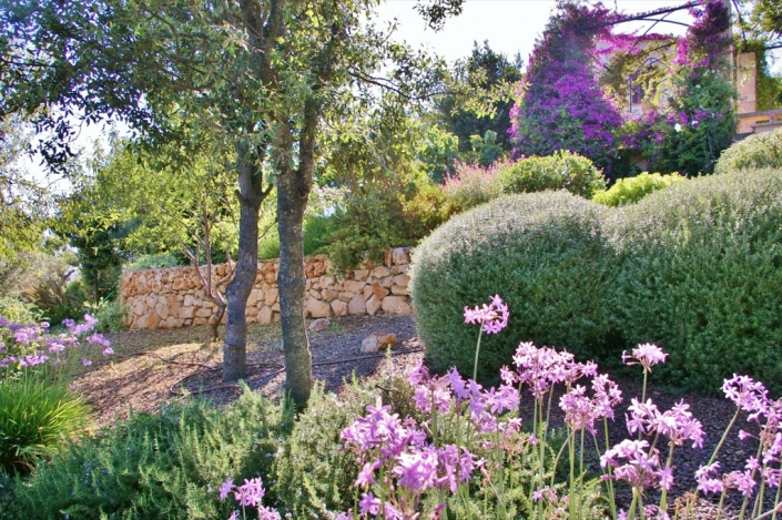 Landscaping project by Garden Center Viveros Pou Nou in Finca Consolació - Mallorca