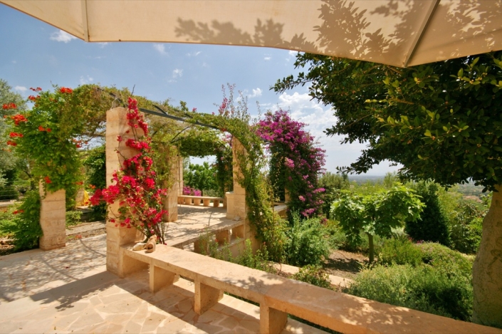 Landscaping project by Garden Center Viveros Pou Nou in Finca Consolació - Mallorca