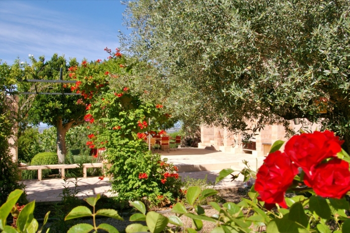 Landscaping project by Garden Center Viveros Pou Nou in Finca Consolació - Mallorca