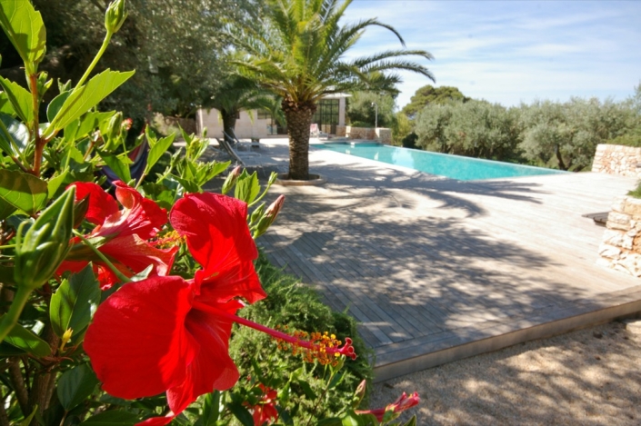 Landscaping project by Garden Center Viveros Pou Nou in Finca Consolació - Mallorca