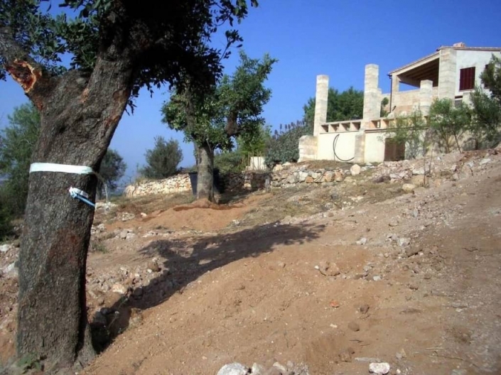 Landscaping project by Garden Center Viveros Pou Nou in finca Consolació - Mallorca