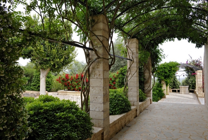 Landscaping project by Garden Center Viveros Pou Nou in Finca Consolació - Mallorca