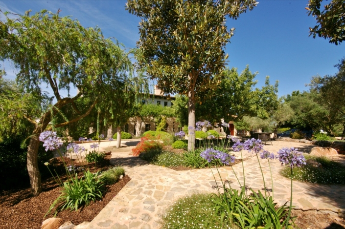 Landscaping project by Garden Center Viveros Pou Nou in Finca Consolació - Mallorca