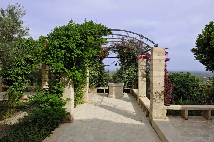 Landscaping project by Garden Center Viveros Pou Nou in Finca Consolació - Mallorca