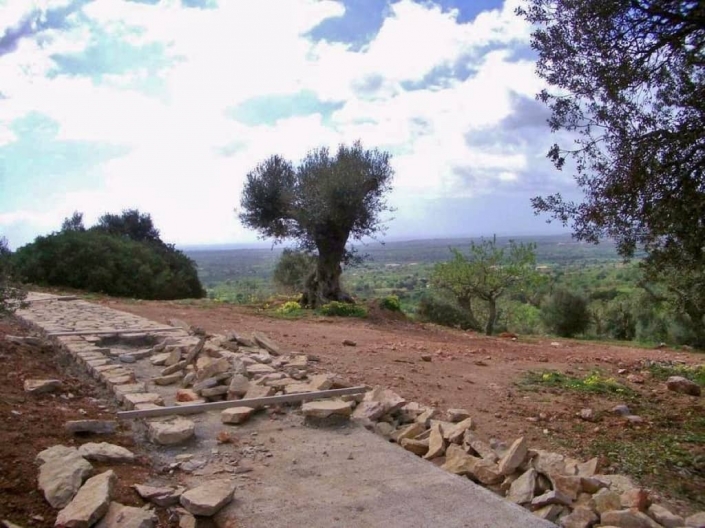 Landscaping project by Garden Center Viveros Pou Nou in finca Consolació - Mallorca