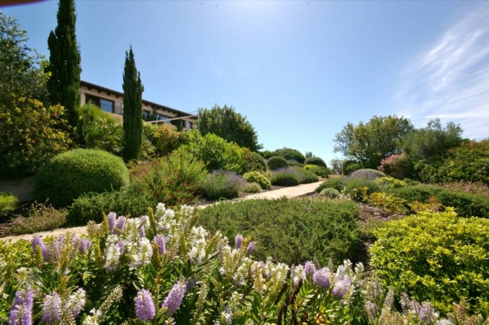 Landscaping project by Garden Center Viveros Pou Nou in Finca Consolació - Mallorca