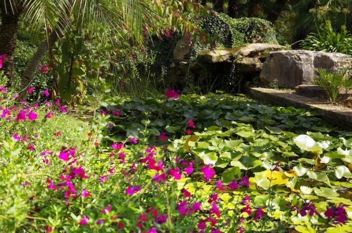 Garden Center in Mallorca - Garden Design