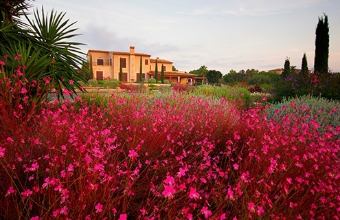 Can Bebo, jardín diseñado por Viveros Pou Nou - Mallorca
