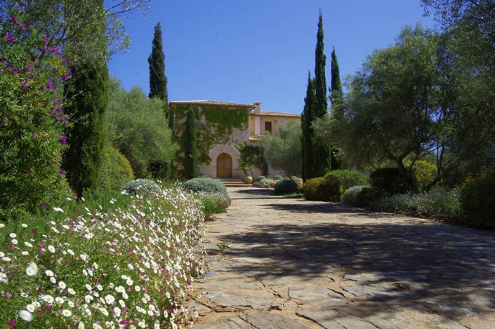Jardí en Can Brera - Mallorca -Paisajista Viveros Pou Nou