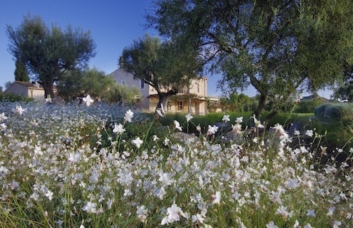Paisajismo en Mallorca - Finca Son Rierol- Detalle del jardín diseñado por Viveros Pou Nou