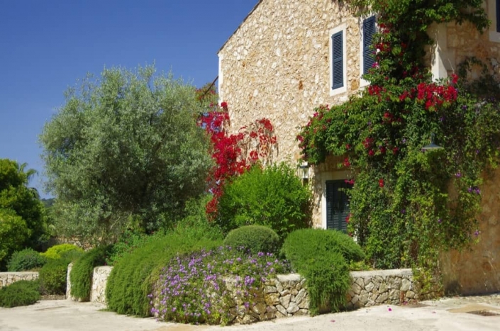 Details of garden in finca Es Carritxó - Mallorca - Garden Center Viveros Pou Nou