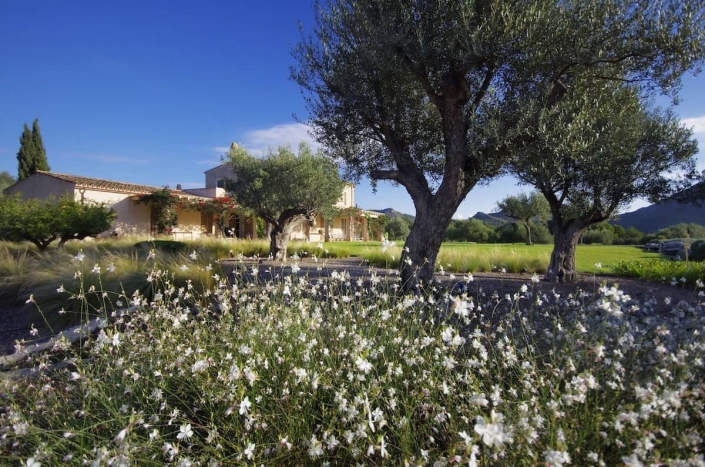 Detalle jardín en Son Rierol - Paisajismo en Mallorca