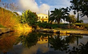 Proyecto paisajismo en Mallorca - Son Ferreret - diseño de jardín