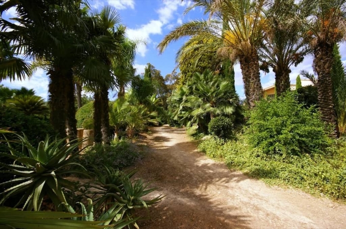 Detalles del jardín de la finca Sa Mesquida, Mallorca - Viveros Pou Nou