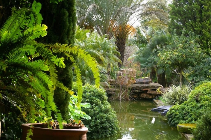 Detalles del jardín de la finca Sa Mesquida, Mallorca - Viveros Pou Nou