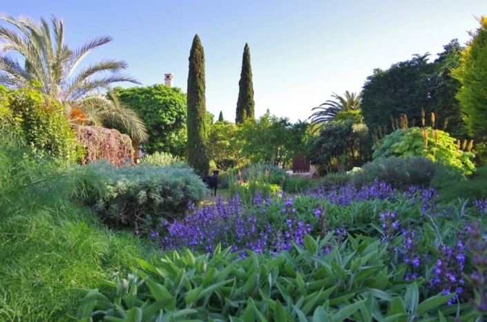 Detalles del jardín de la finca Sa Mesquida, Mallorca - Viveros Pou Nou